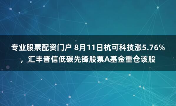 专业股票配资门户 8月11日杭可科技涨5.76%，汇丰晋信低碳先锋股票A基金重仓该股
