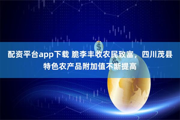 配资平台app下载 脆李丰收农民致富，四川茂县特色农产品附加值不断提高