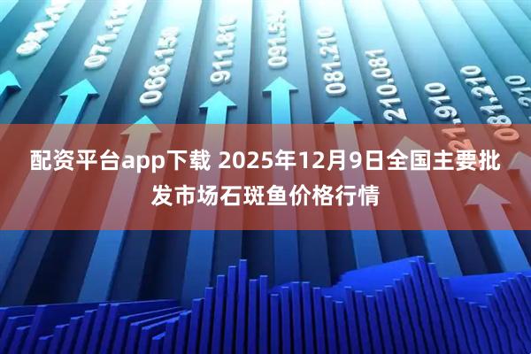 配资平台app下载 2025年12月9日全国主要批发市场石斑鱼价格行情