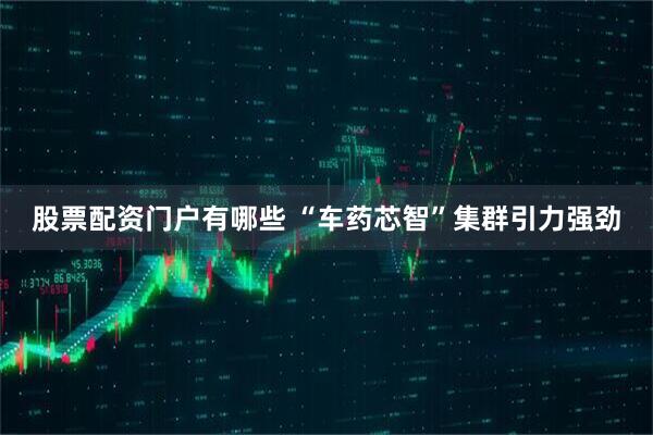 股票配资门户有哪些 “车药芯智”集群引力强劲